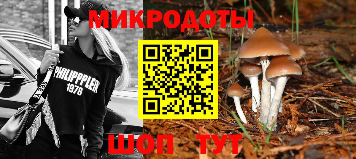 Галлюциногенные грибы Magic Shrooms Реутов